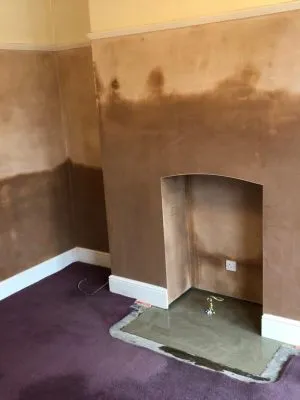 Image of damp proofing work #6